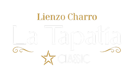 Image Logo